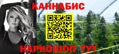 spice Обнинск